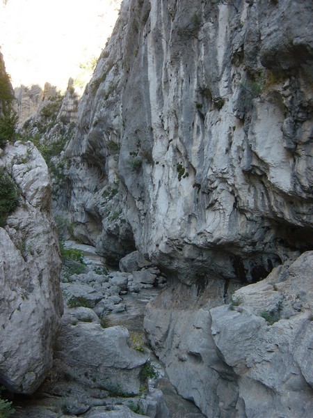 DSC06208