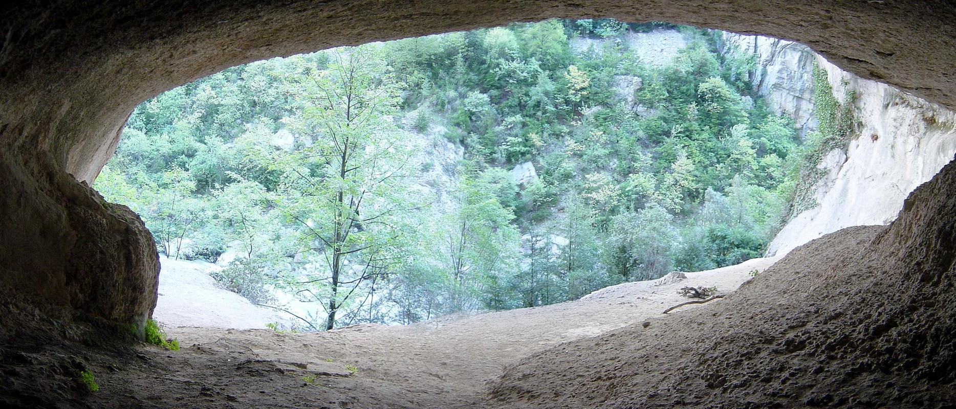 panorama voute