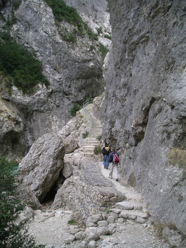 IMGP0460