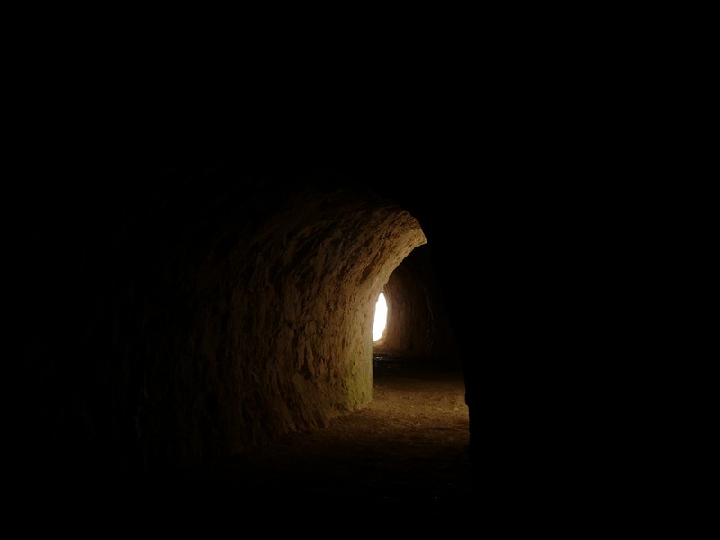 P1000993