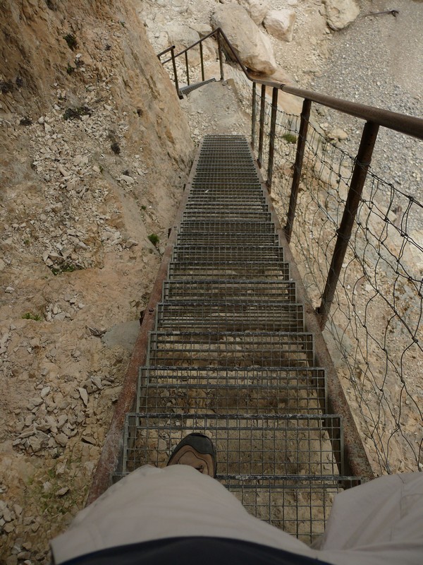 P1010006