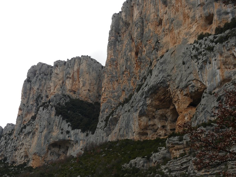 P1010068
