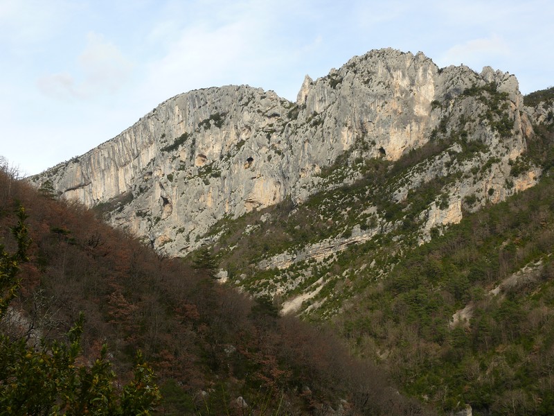 P1010074