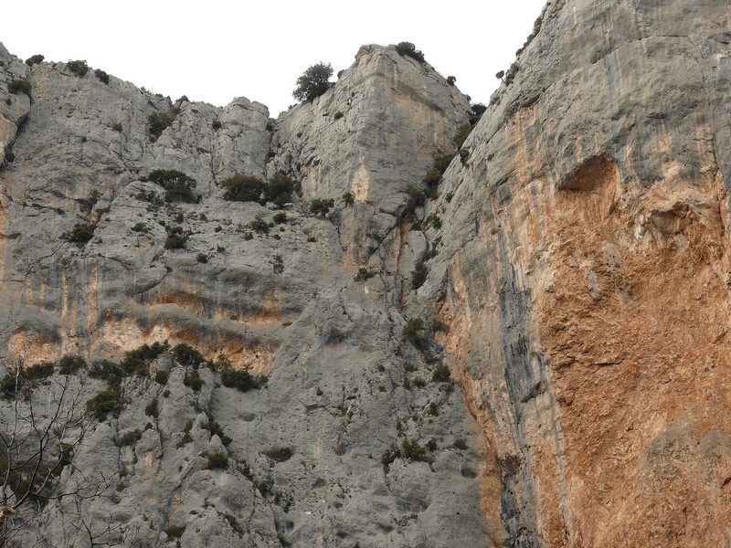 carelle - escales