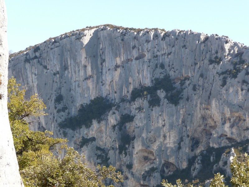 P1000751