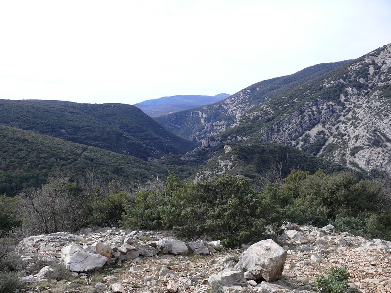 P1000639