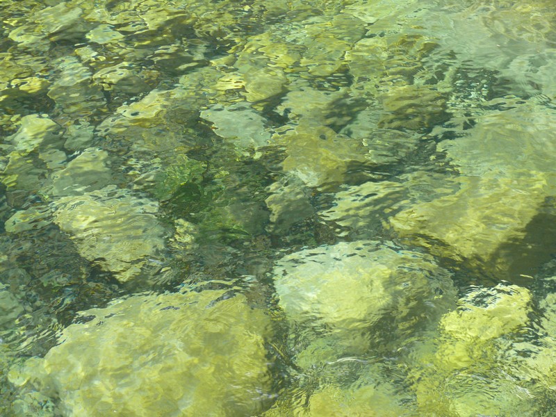 P1000698