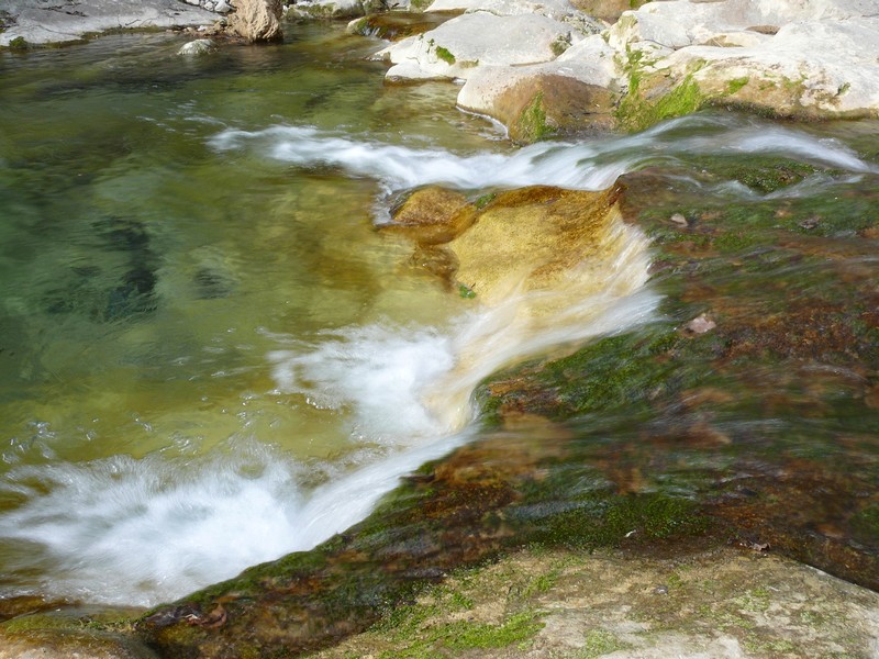 P1000702