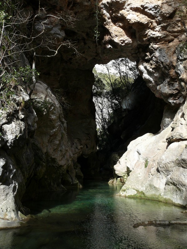 P1000716