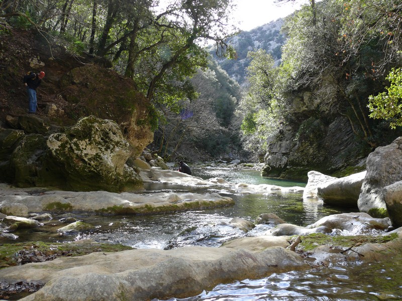 P1000717