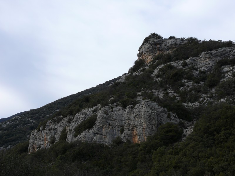 P1000721
