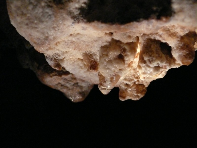 P1000787