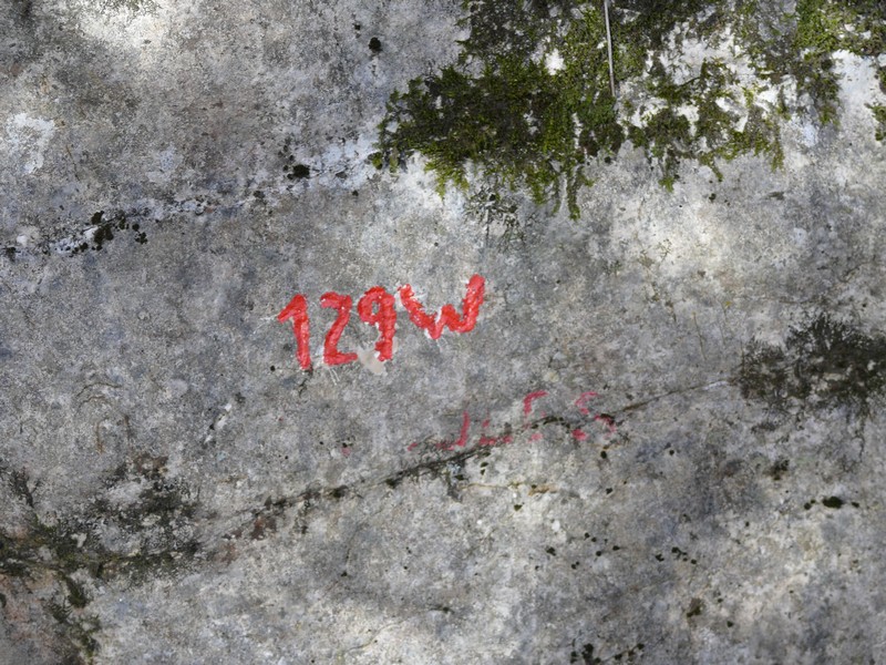 P1000791
